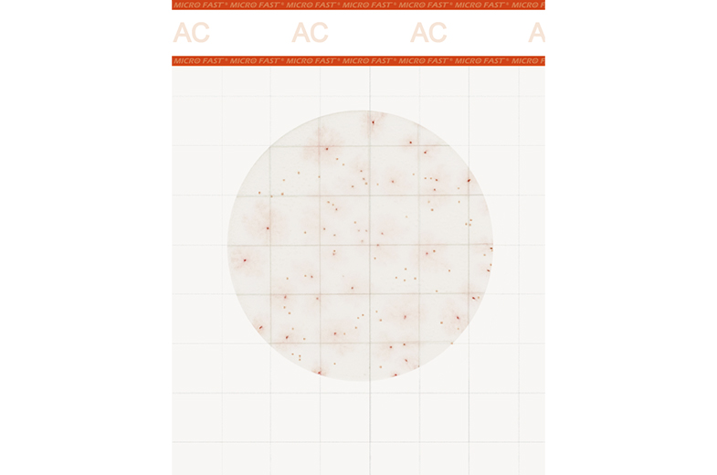 Premium系列菌落總數測試片