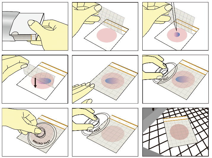 快速大腸菌群測試片